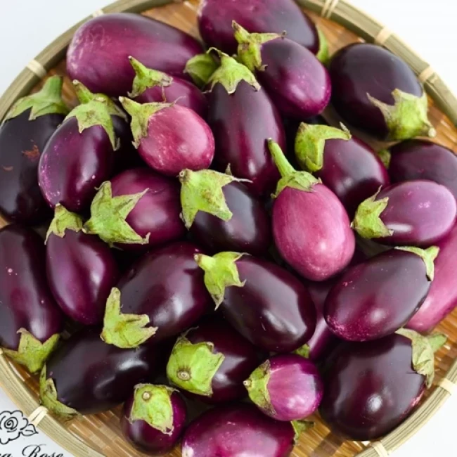بذر بادمجان هیبرید راوایا 10 عددی