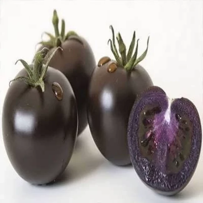 بذر گوجه فرنگی غول پیکر بنفش درختی 25 عددی