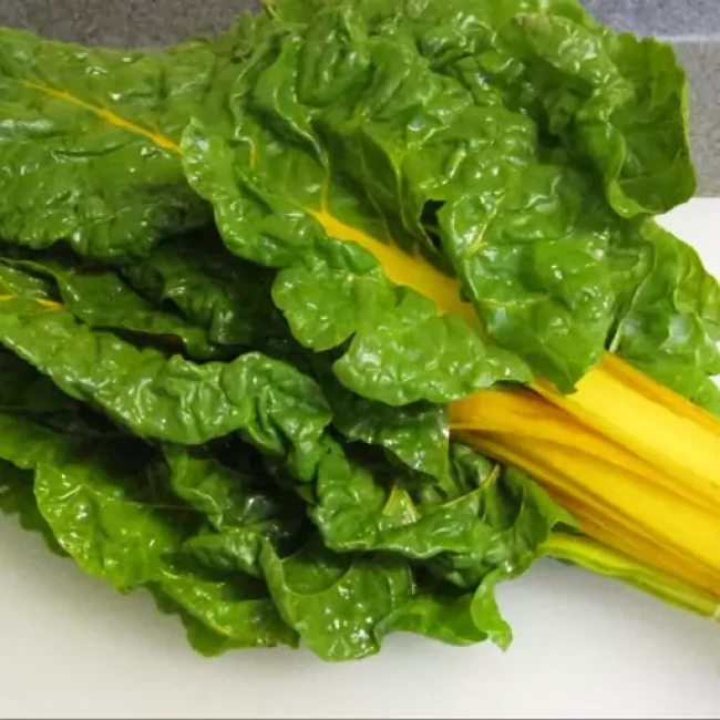 بذر سوییس چارد زرد قناری 20 عددی 