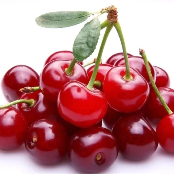 بذر درخت آلبالو ترکیه ای 10 عددی 
