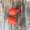 بذر گوجه گیلاسی قرمز فیاسچتو 20 عددی 