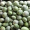 بذر کمبوزه 10 عددی 