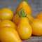بذر گوجه گلابی نارنجی 20 عددی 