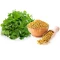 بذر شنبلیله اردستانی 20 گرم