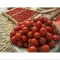 بذر گوجه گیلاسی قرمز فیاسچتو 20 عددی 