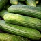 بذر خیار پر بار داووس 20 عددی 