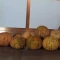 بذر گرمک 1 گرم 