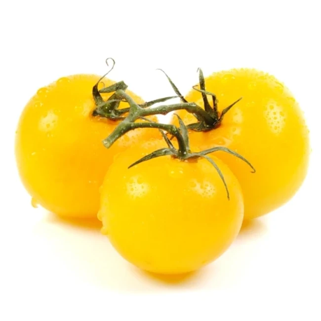 بذر گوجه فرنگی زرد بوته ای 20 عددی 