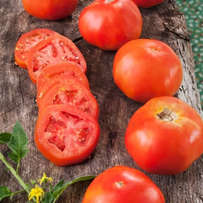 بذر گوجه فرنگی راتگرز 10 عددی 