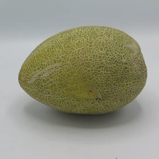 بذر خربزه سوسکی گرمساری 20 عددی 