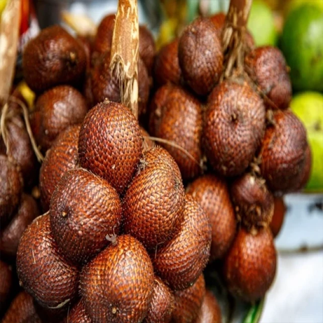 بذر سالاک (پوست ماری) 2 عددی 