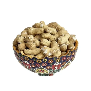 بادام زمینی غلاف دار نمکی یک کیلویی
