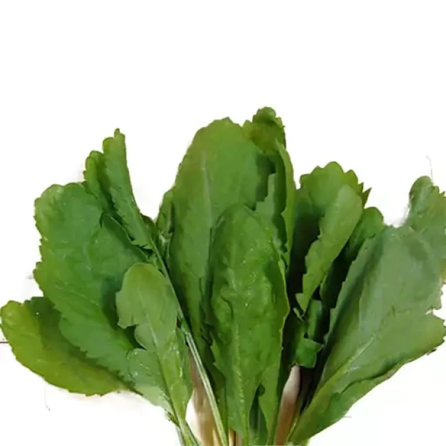 بذر شاهی برگ باریک 20 گرم