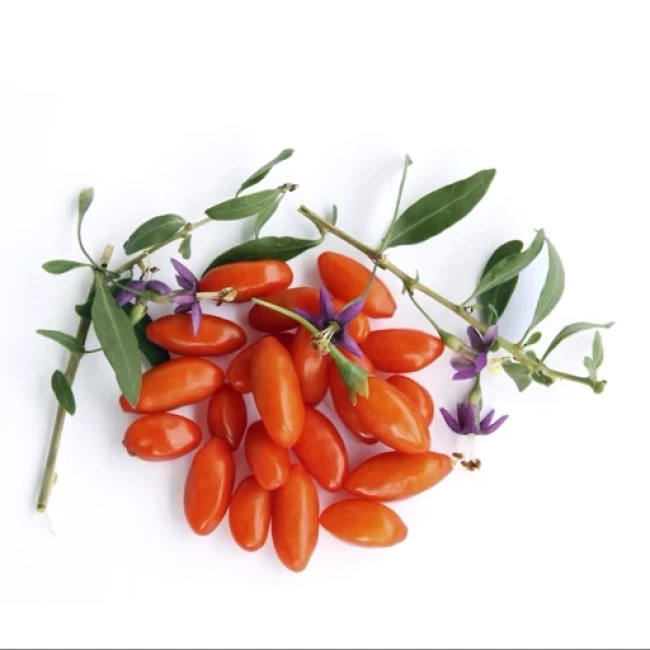 بذر گوجی بری قرمز 10 عددی 