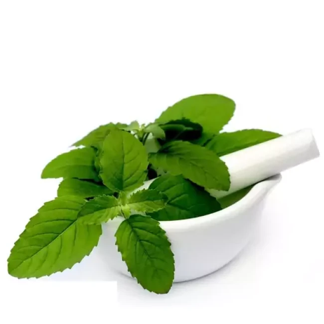 بذر ریحان سبز  20  گرم
