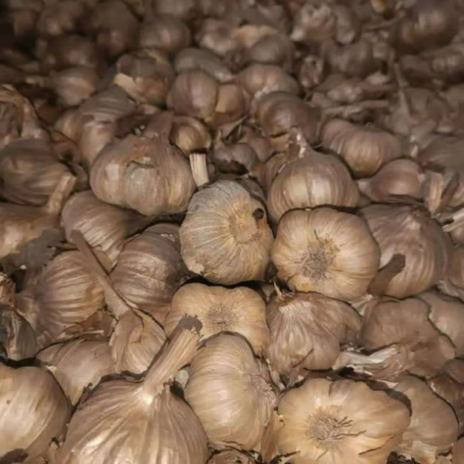 سیر سیاه تهیه شده از سیر همدان ۵۰۰گرمی