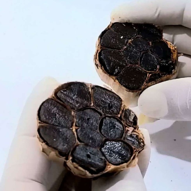 سیر سیاه آلدا تخمیر کامل از سیر همدان (۲عددقوطی ۲۰۰ گرمی)