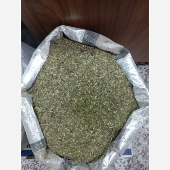 نعناع خشک