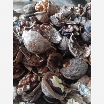 گردو با مغز فسنحونی یک کیلو