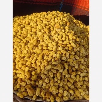 توت خشک محلی ژیوار