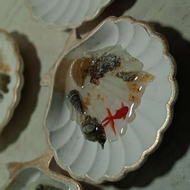 حوضچه ماهی جاودان رزینی