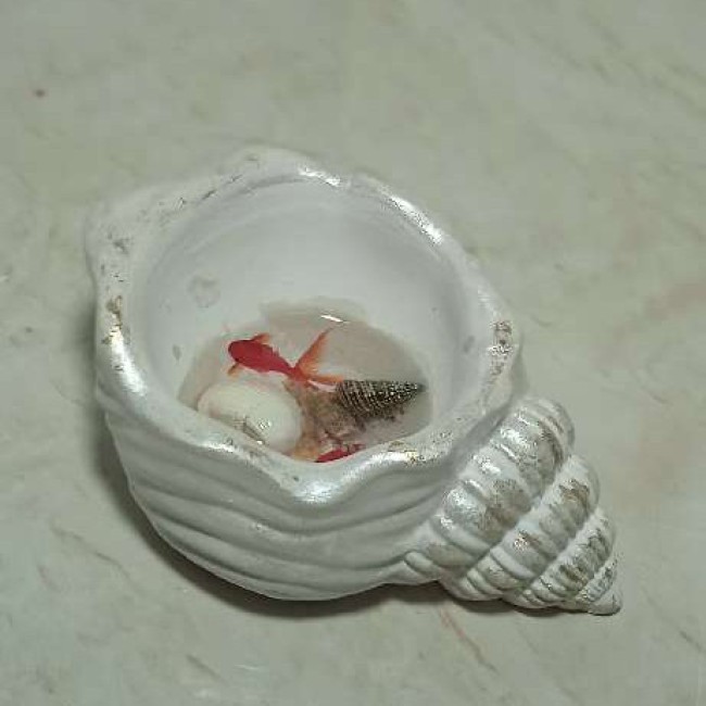 حوضچه ماهی جاودان رزینی