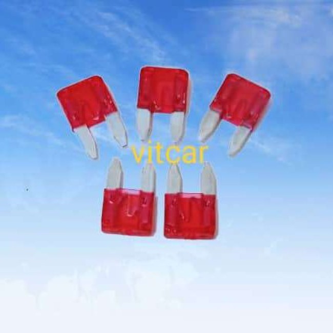 فیوز  10 آمپر پژو 206 / فیوز شیشه ای ریز بسته 50عددی.ویتکار