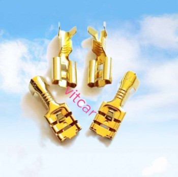فیش کولری فیش بوقی فیش مادگی بسته 300عددی.ویتکار