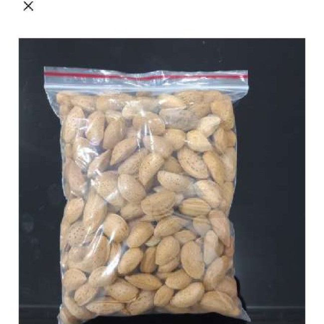 بادام سنگی