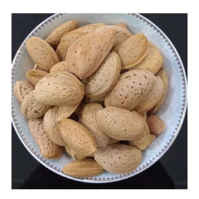 بادام سنگی