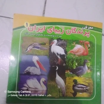 کتاب معرفی پرندگان زیبای ایران 1