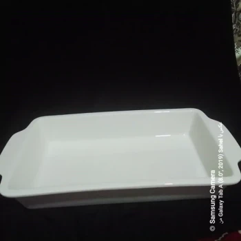 مرغ خوری سفید و خاص 