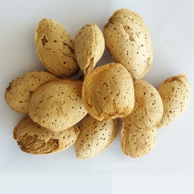 بادام کاغذی خام یک کیلو گرم