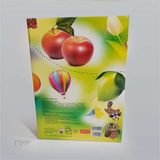 بازی فکری هوش چین دو تکه ( زاغک )