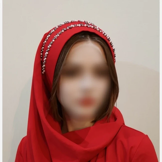 هدشال مجلسی در رنگ بندی