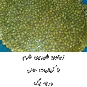 100 کیلو زیتون طارم عمده