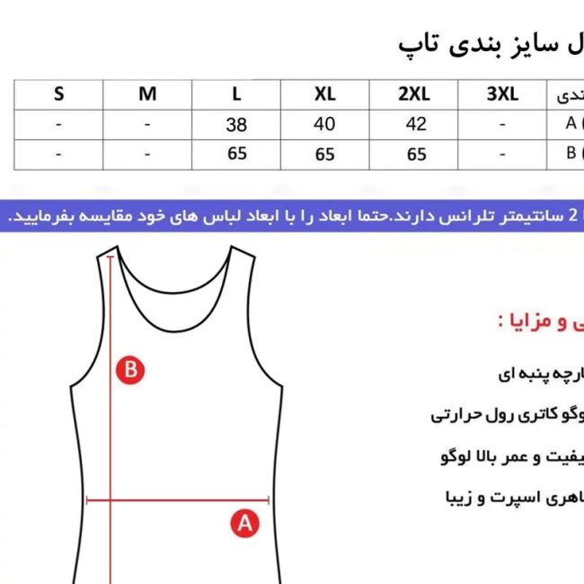 تاپ ورزشی زنانه فلامنت کش طرح Jordan مدل X866R رنگ کله غازی سایز L XL 2XL