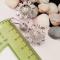گوشواره نقره زنانه طرح گل تراش دار عیار 925 روکش طلا سفید BSJ silver