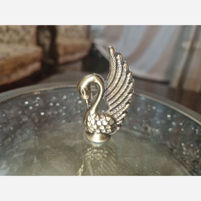 شکلات خوری پیوتر