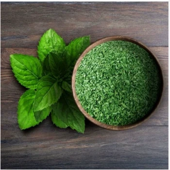 نعنا خشک بسته 100 گرمی