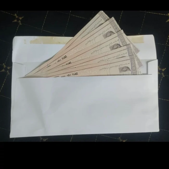 پاکت ملخی بسته 100 عددی