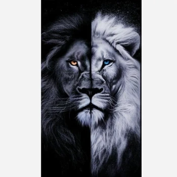 استیکر ستون خودرو کیفیت بالا انواع خودرو بسته دو عددی