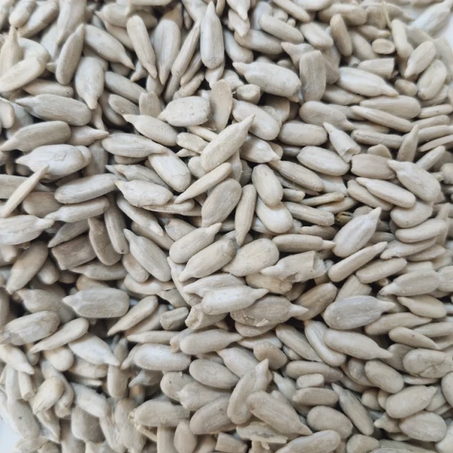 مغز تخمه آفتابگردان خام 300 گرمی