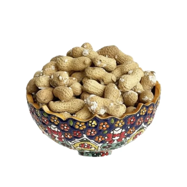 بادام زمینی غلاف دار نمکی یک کیلویی