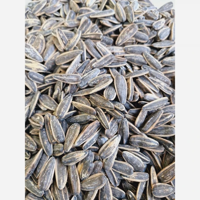 تخمه آفتابگردان خوش طعم و تازه یک کیلویی