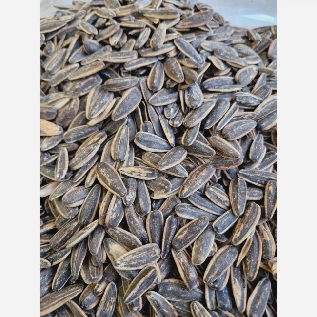 تخمه آفتابگردان خوش طعم و تازه یک کیلویی