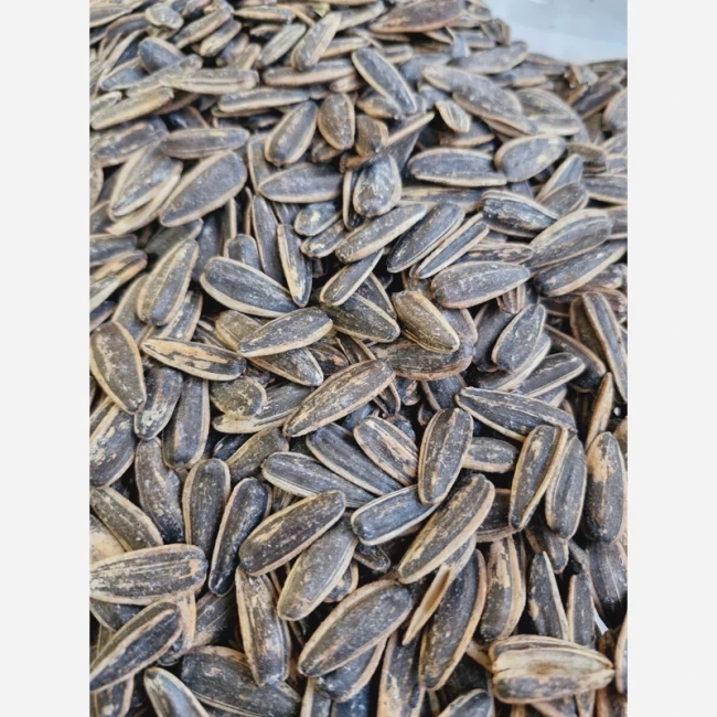 تخمه آفتابگردان خوش طعم و تازه 250 گرمی