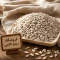 مغز تخمه آفتابگردان خام 100 گرم