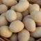 بادام زمینی روکش دار طعم سرکه 500 گرم