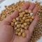 نخود نمکی دو آتیشه لوکس 100 گرم